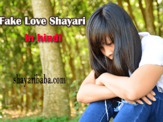 Fake Love Shayari in Hindi